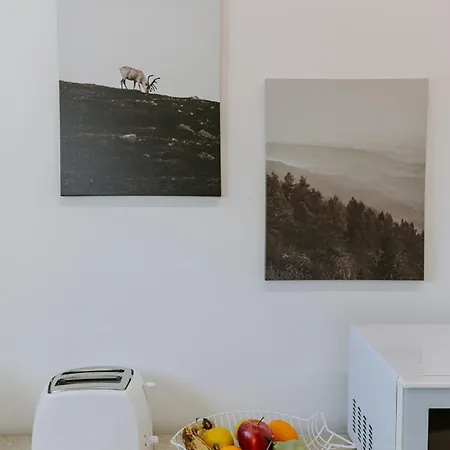 Apartment Stylish Stonehouse In *